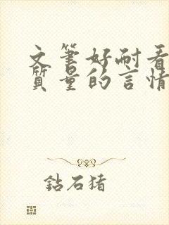 文笔好耐看的高质量的言情小说