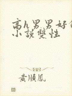 高h男男好舒服小说双性封面