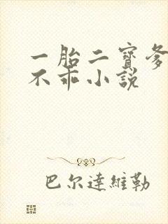 一胎二宝爹地你不乖小说