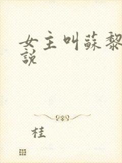 女主叫苏黎的小说