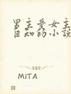 男主爱女主而不自知的小说