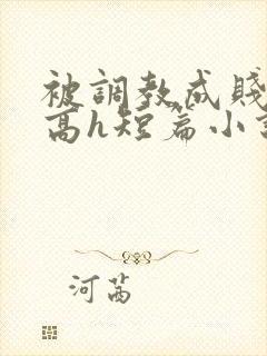被调教成贱奴的高h短篇小说推荐