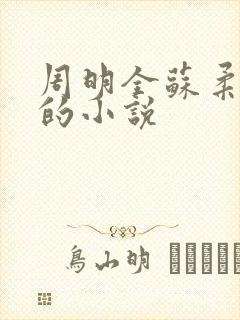 周明全苏柔赵刚的小说封面