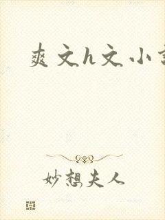 爽文h文小说封面