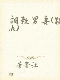 调教男妻(跪趴,h)封面