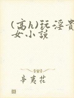 (高h)玩淫贵女小说