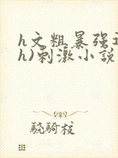 h文粗暴强迫(h)刺激小说