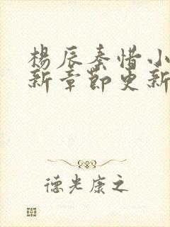 杨辰秦惜小说最新章节更新封面