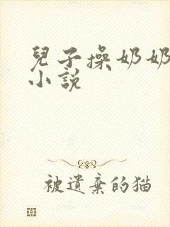 儿子操奶奶的逼小说