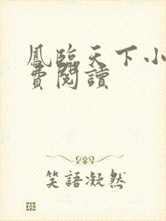 凤临天下小说免费阅读封面