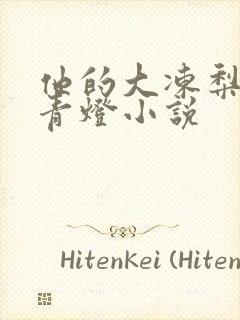 他的大冻梨by青灯小说