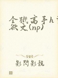 全职高手h荤肉欲文(np)