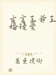 古言王爷王妃先婚后爱