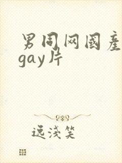 男同网国产原创gay片封面