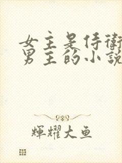 女主是侍卫保护男主的小说