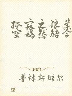 孤寂之狼叶凡司空嫣然结合