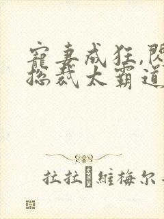 宠妻成狂,闪婚总裁太霸道