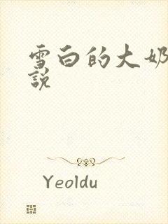 雪白的大奶子小说