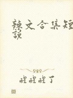 辣文合集短篇小说