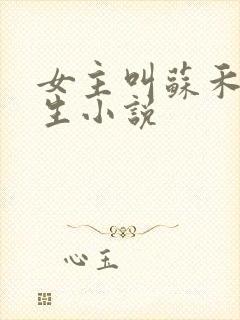 女主叫苏禾的重生小说