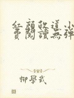 红颜政道小说免费阅读无弹窗