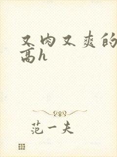 又肉又爽的小说高h