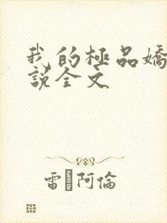 我的极品娇妻小说全文封面