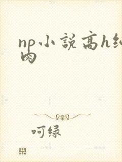 np小说高h纯肉