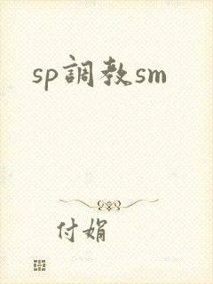 sp调教sm