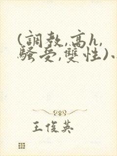 (调教,高h,骚受,双性)小说封面