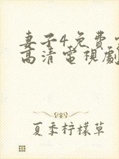 妻子4免费完整高清电视剧看封面