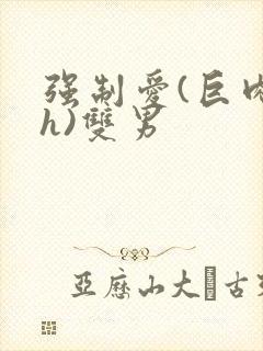强制爱(巨肉高h)双男