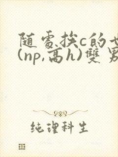 随处挨c的世界(np,高h)双男