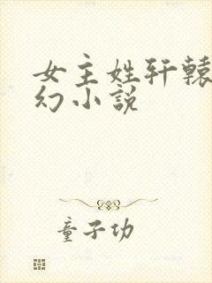 女主姓轩辕的玄幻小说封面