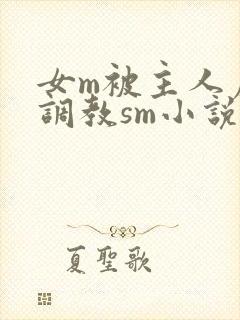 女m被主人虐玩调教sm小说