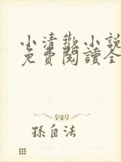 小清欢小说全文免费阅读全文