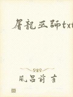 屠龙巫师txt