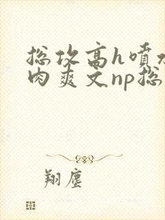 总攻高h喷水荡肉爽文np总攻