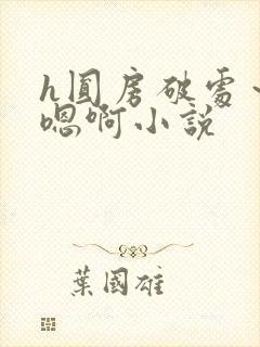 h圆房破处～h嗯啊小说封面