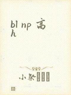 bl np 高h