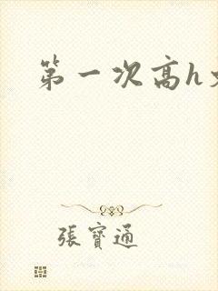 第一次高h文