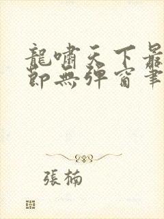 龙啸天下最新章节无弹窗笔趣阁