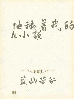 他舔着我的奶子h小说