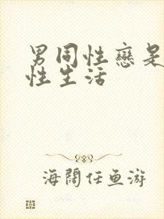 男同性恋是怎么性生活