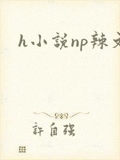 h小说np辣文