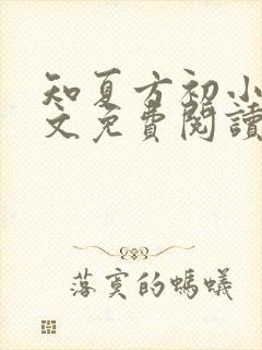 知夏方初小说全文免费阅读最新章节