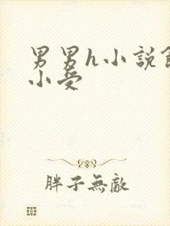 男男h小说饥渴小受