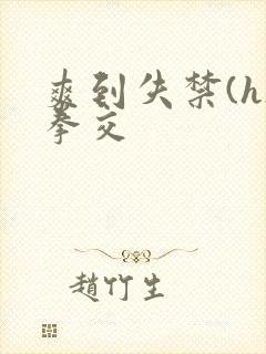 爽到失禁(h)拳交