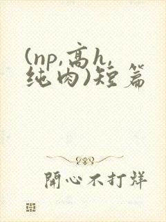 (np,高h,纯肉)短篇