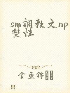 sm调教文np双性